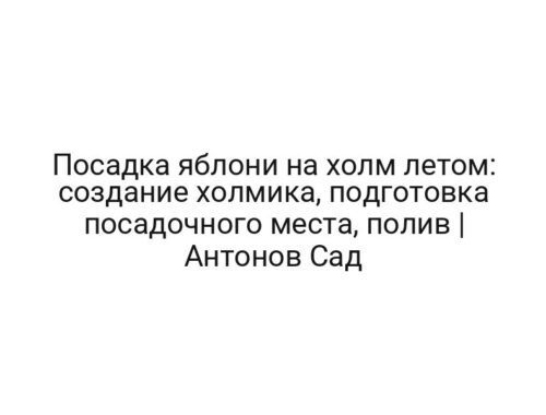 Посадка яблони на холм летом: создание холмика, подготовка посадочного места, полив | Антонов Сад