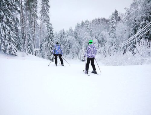 Строительство нового горнолыжного курорта в Ленобласти за 14 млрд руб. начнут в 2026 году — Ведомости. Северо-Запад