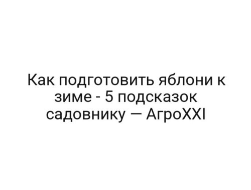 Как подготовить яблони к зиме — 5 подсказок садовнику — АгроXXI