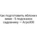 Как подготовить яблони к зиме — 5 подсказок садовнику — АгроXXI