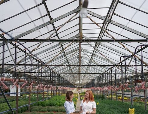 Как сделать парник из поликарбоната