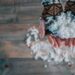 Соль техническая для обледенения
